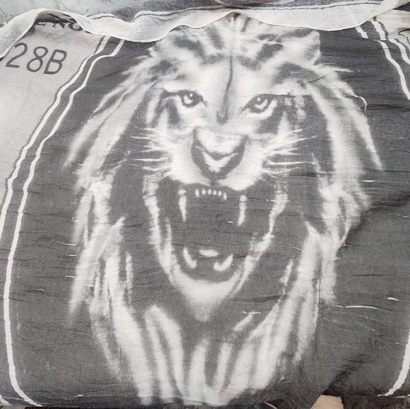 100 Dollar Bill Scarf/Wrap - Picture 6 of 8